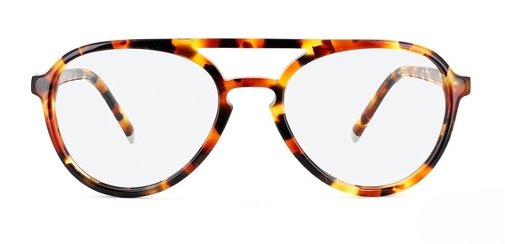 Nicol_caramel_tortoise_front_glasses .jpg
