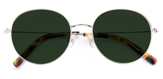 Robertson_BrushedGold_Sunglasses_folded_forweb.jpg