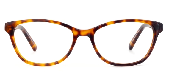 IOLLA Healey Glasses in Medium Havana