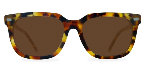 Inglis_MatteCaramel_Front_Sunglasses