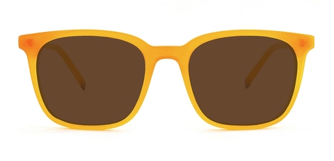 Stewart_Honey_Front_Sunglasses