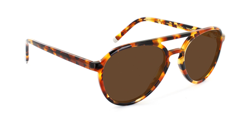 Nicol in Caramel Tortoise