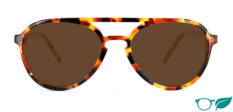 nicol caramel tortoise as sunglasses