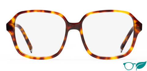Parker II_Medium Havana_Front_Glasses-forweb_eco