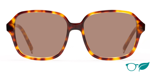 Parker II_Medium Havana_Front_Sunglasses-forweb_eco