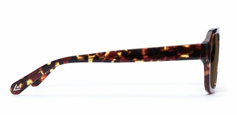 Arran in Dark Tortoise – Vintage-Inspired Sunglasses | IOLLA