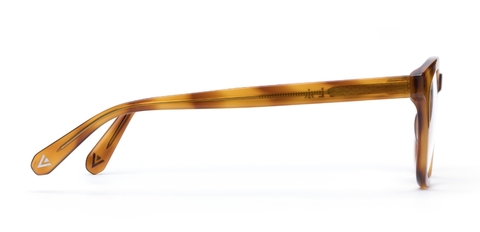 Bute Amber Glasses side
