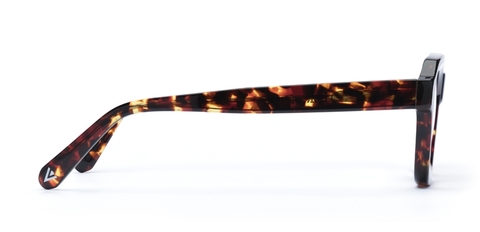 Finlay Dark Tortoise glasses side