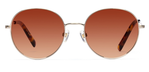 Robertson – Bold Retro Sunglasses | IOLLA
