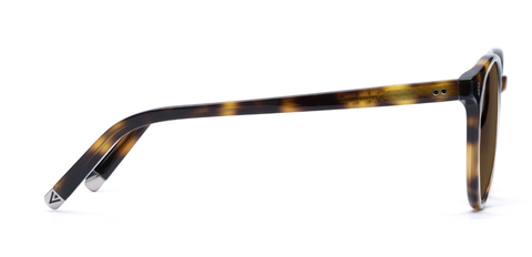 Big Bell_Light Medium Havana_Sunglasses_side_forweb.jpg