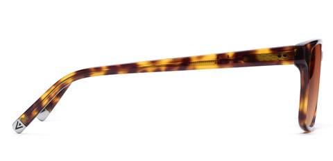 Burns_Medium Havana_Gradient_side_forweb.jpg