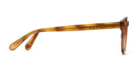 Bute_Amber_Sunglasses_side_forweb.jpg