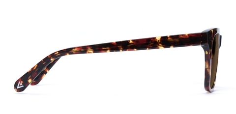 Duncan in Dark Tortoise – Timeless & Bold Sunglasses | IOLLA