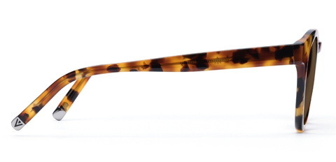 Somerville_Caramel Tortoise_Sunglasses_side_forweb.jpg