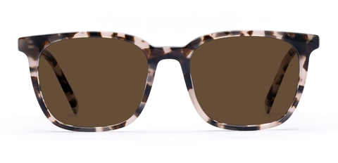 Stewart in Vanilla Tortoise – Elegant Everyday Sunglasses | IOLLA