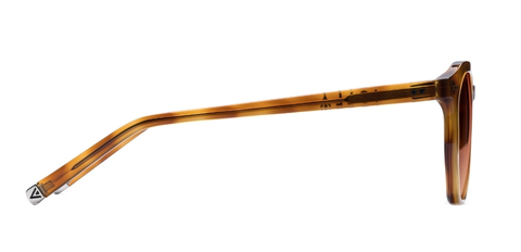 Williams_Amber_Gradient_side_forweb.jpg