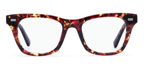 Duncan_DarkTortoise_Glasses_front_forweb.jpg