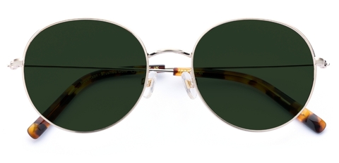 Robertson_BrushedGold_Sunglasses_folded_forweb.jpg