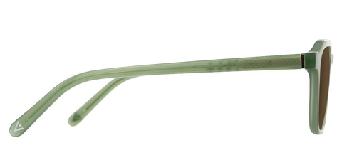 IOLLA Boyd Sunglasses in Khaki Green with Brown Lenses 