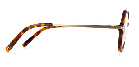 IOLLA Rowan Medium Havana Glasses