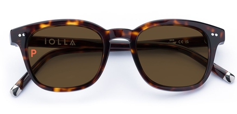 Connolly Deep Havana Sunglasses with Brown Polarised Lenses